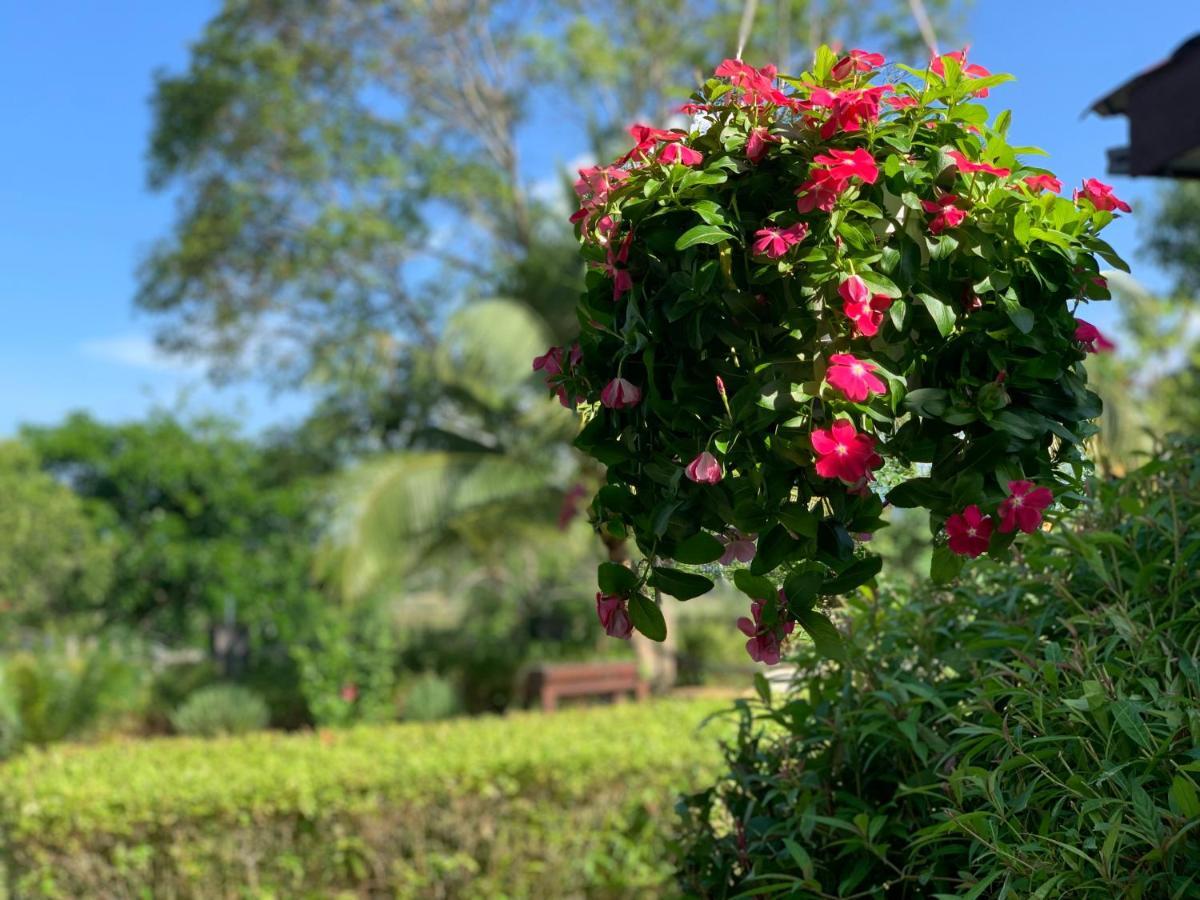 Lovely Garden Villas Пантай-Сенанг Экстерьер фото